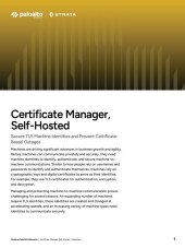 asset pdf thumbnail