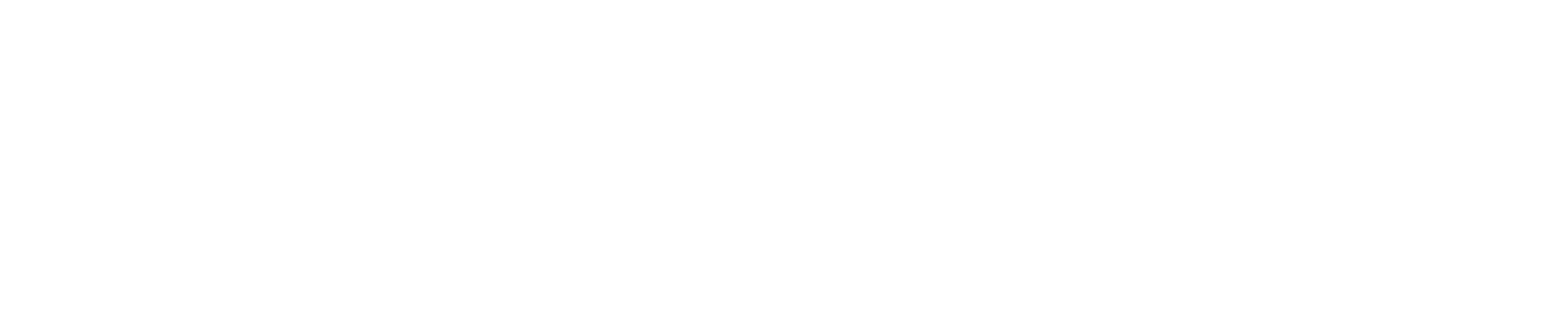 Palo Alto Networks Logo