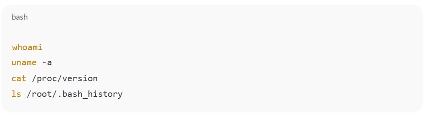 Example of command patterns that suggest sandbox testing or honeypot detection Example of command patterns that suggest sandbox testing or honeypot detection