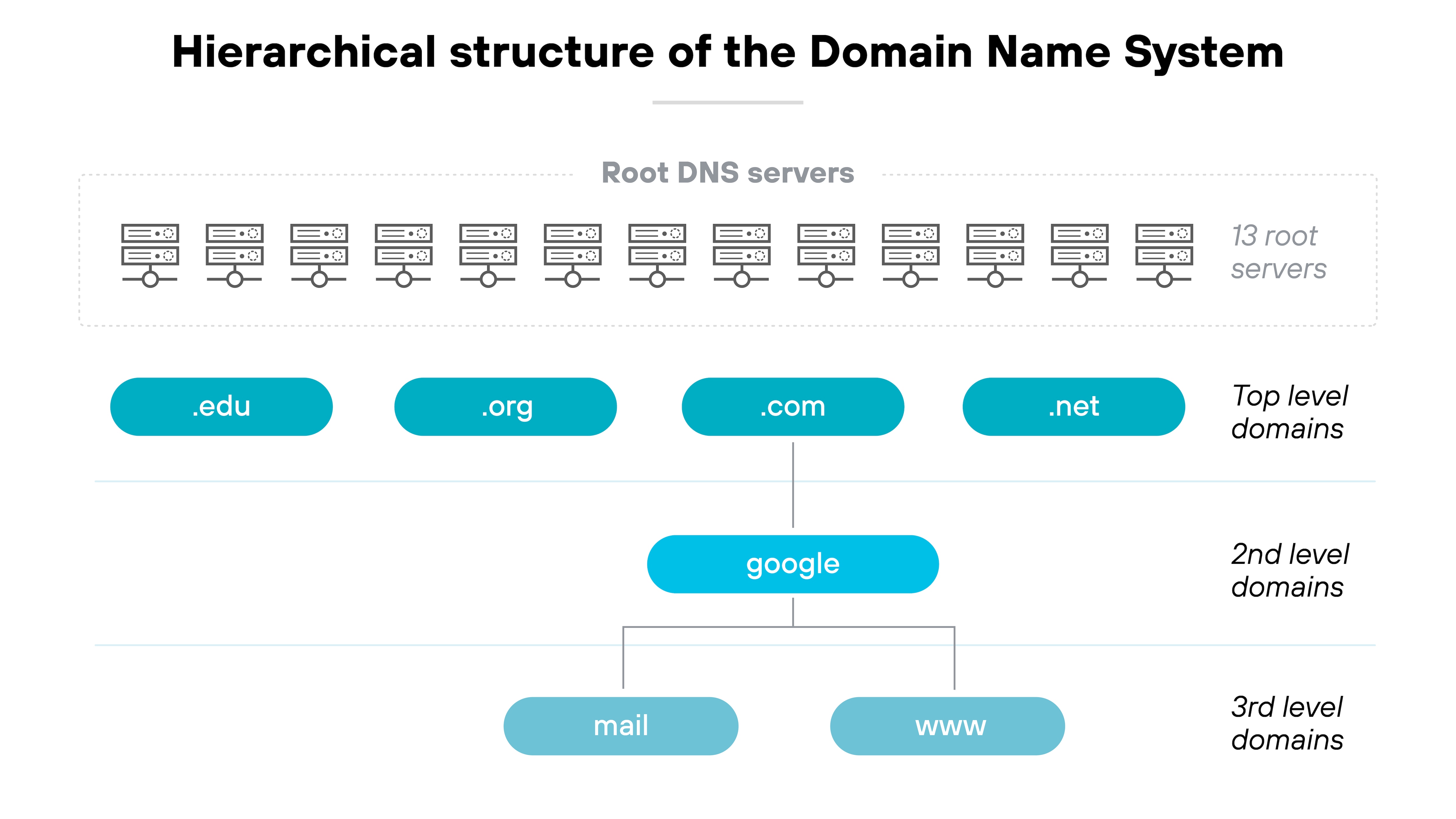 imageAlt The image titled 'Hierarchical structure of the Domain Name System' visually represents the layers of the DNS hierarchy. At the top, a dotted box contains 13 illustrated servers labeled 'Root DNS servers' with the text '13 root servers' on the right side. Below this, a row of four teal ovals displays top-level domains labeled '.edu', '.org', '.com', and '.net'. A vertical line descends from the '.com' oval to a second-level domain labeled 'google' in another teal oval. From 'google', two lines branch downward to third-level domains labeled 'mail' and 'www', both in teal ovals. The levels are separated by horizontal lines and labeled on the right side as 'Top level domains', '2nd level domains', and '3rd level domains' respectively.