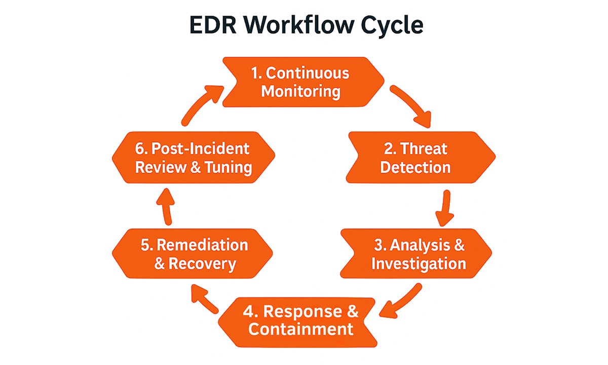 Conceptual diagram illustrating the continuous EDR workflow cycle as a slowing, circular process, including all stages.