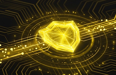 Virtual Patching image